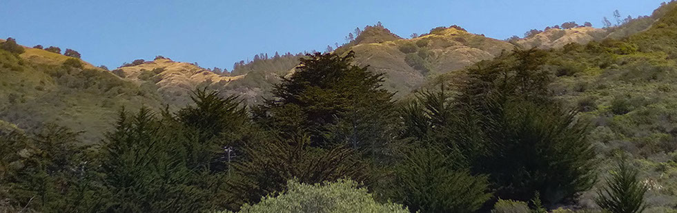 Picture of the Sur Sur Ranch and Bald  top